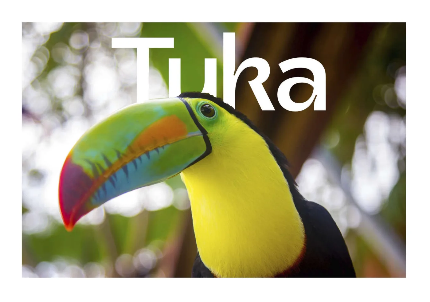 Marca do Tuka Video com o tucano